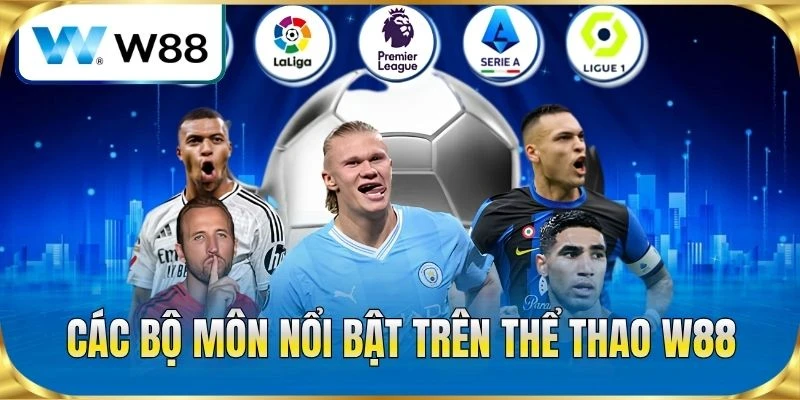 Các bộ môn nổi bật trên thể thao W88