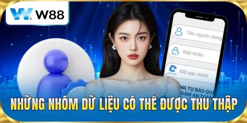 Những nhóm dữ liệu có thể được thu thập