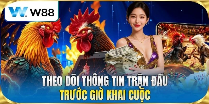 Theo dõi thông tin trận đấu trước giờ khai cuộc